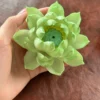 Handmade Green Lotus Flower Incense Holder