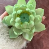 Handmade Green Lotus Flower Incense Holder