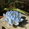 Handmade Blue Lotus Flower Incense Holder