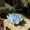 Handmade Blue Lotus Flower Incense Holder