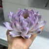 Handmade Purple Lotus Flower Incense Holder