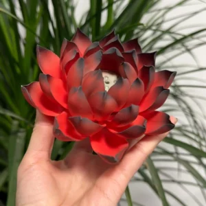 Handmade Red and Black Lotus Flower Incense Holder