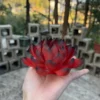 Handmade Red and Black Lotus Flower Incense Holder