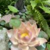 Handmade Pink Lotus Flower Incense Holder