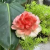 Handmade Pink Peony Flower Incense Holder
