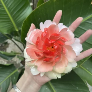 Handmade Pink Peony Flower Incense Holder