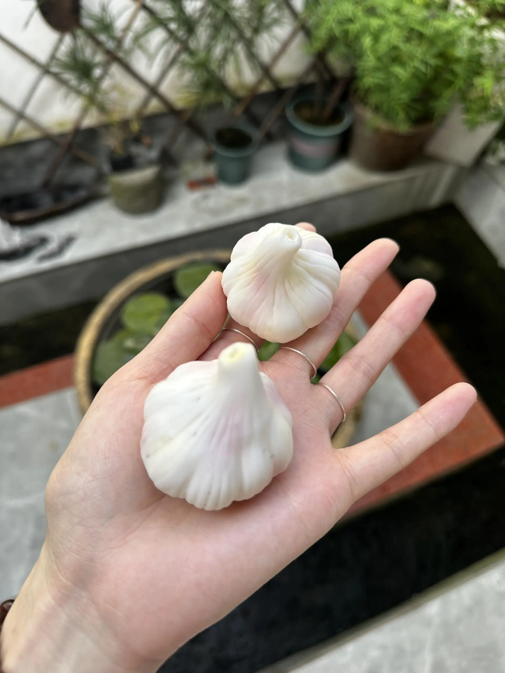 Handmade White Garlic-Shaped Incense Holder