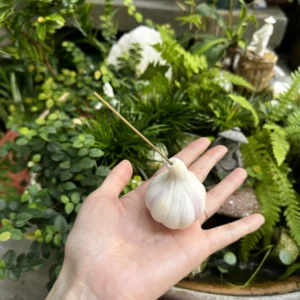 Handmade White Garlic-Shaped Incense Holder