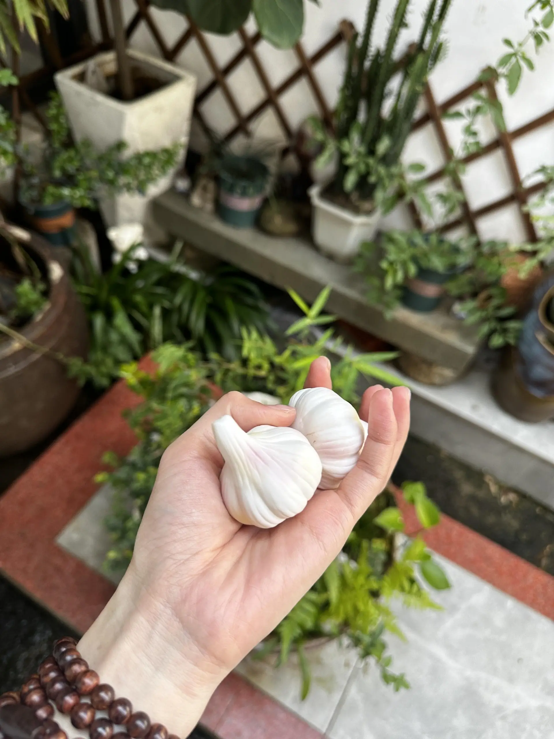 Handmade White Garlic-Shaped Incense Holder