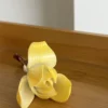 Handmade Yellow/Orange Magnolia Flower Incense Holder