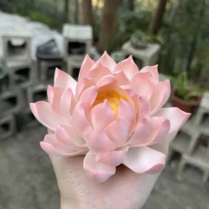 Handmade Pink Lotus Flower Ceramic Incense Holder
