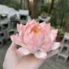 Handmade Pink Lotus Flower Ceramic Incense Holder