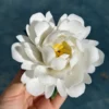 Handmade White/Pink Peony Flower Incense Holder