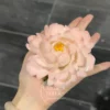 Handmade Pink Flower Ceramic Incense Holder Unique Blooming Flower Shaped Incense Stick Holder