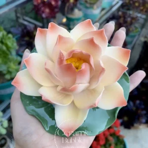 Handmade Pink Ceramic Incense Holder Unique Design Lotus Flower Shaped Incense Holder for Sticks