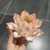 Handmade Pink Ceramic Incense Holder Unique Design Lotus Flower Shaped Incense Holder for Sticks