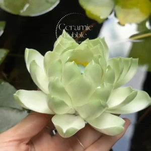 Green Lotus Flower Shaped Incense Stick Holder Handmade Ceramic Incense Holder