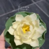 Unique Handmade Beige Ceramic Incense Holder Lotus Flower Shaped Incense Holder with Tray