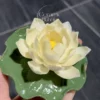 Unique Handmade Beige Ceramic Incense Holder Lotus Flower Shaped Incense Holder with Tray