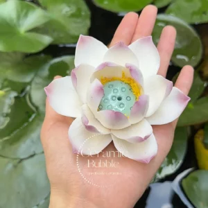 Handmade Ceramic Incense Holder White Lotus Shaped Incense Burner Housewarming Gift