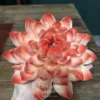 Handmade Unique Red Lotus Flower Ceramic Incense Holder Artistic Bloom Design Incense Stick Burner