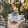Unique Handmade Matte/Glossy Black-White Gradient Lotus Flower Shaped Ceramic Incense Holder