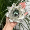 Unique Handmade Matte/Glossy Black-White Gradient Lotus Flower Shaped Ceramic Incense Holder