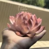 Handmade Pink Lotus Flower Shaped Ceramic Incense Holder Unique Gift for Her
