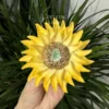 Sunflower Shaped Ceramic Desk Decor Handmade Unique Tea Pet