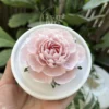 Light Pink Flower Shaped Ceramic Desk Decor Romantic Tea Party Decor Ceramic Diffuser