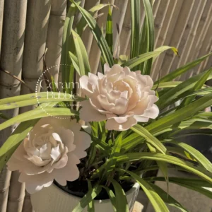 Handmade White Pink Gradient Ceramic Flower Elegant Desk Decor Unique Housewarming Gifts