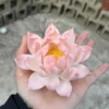 Handmade White Pink Gradient Ceramic Lotus Delicate Zen Inspired Tea Pet Unique Flower Table Decor