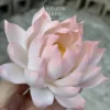 Handmade White Pink Gradient Ceramic Lotus Delicate Zen Inspired Tea Pet Unique Flower Table Decor