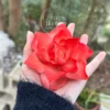 Handmade Red Flower Ceramic Desk Decor Unique Tea Party Table Decoration Ceramic Diffuser