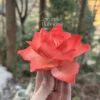 Handmade Red Flower Ceramic Desk Decor Unique Tea Party Table Decoration Ceramic Diffuser
