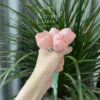 Tulip Shaped Handmade Ceramic Tea Pet Unique Floral Home Decor Pink Tea Party Decor