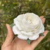 Handmad Jasmine Flower Shaped Ceramic Desk Decor Artistic Home Decor Tea Table Decor