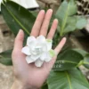 Handmade White Jasmine Shaped Ceramic Fridge Magnet Unique Elegant Home Decor