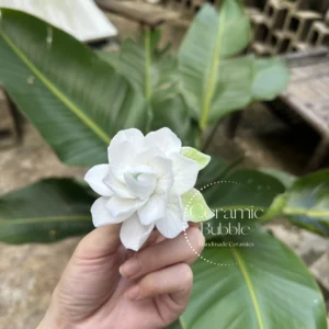 Handmade White Jasmine Shaped Ceramic Fridge Magnet Unique Elegant Home Decor