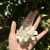Handmade Pink Begonia Shaped Ceramic Flower Fridge Magnet House Warming Gift