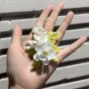 Handmade Jasmine Shaped Ceramic Flower Fridge Magnet House Warming Gift