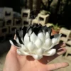 Black and White Ceramic Lotus Shaped Incense Holder Handmade Stick Burner