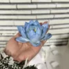 Blue Handmade Ceramic Lotus Shaped Incense Stick Holder Soft Floral Decor for Relaxation