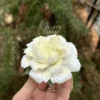 Handmade Gardenia Shaped Ceramic Incense Holder White Floral Stick Burner for Home