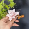 White/Yellow/Pink Magnolia Shaped Ceramic Incense Holder Handmade Aesthetic Stick Burner Gift for Her