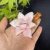 White/Yellow/Pink Magnolia Shaped Ceramic Incense Holder Handmade Aesthetic Stick Burner Gift for Her