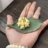 Handmade Yellow Osmanthus Shaped Ceramic Incense Holder with Green Tray